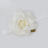 Голова розы раскрытая, белый, диаметр - 10 см.