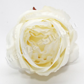 Голова розы пионовидной, молочный, диаметр - 10 см.