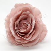 Голова розы, пыльно пудровый, диаметр - 10 см.