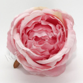 Голова розы пионовидной,  розовый, диаметр - 10 см.