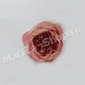 голова пионовидной розы, лососевый, диаметр 10 см.