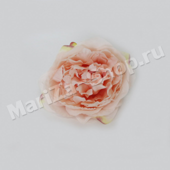 голова пионовидной розы, розовая, диаметр 10 см.(0,009)
