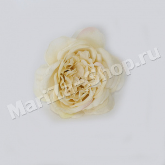 голова пионовидной розы, айвари, диаметр 10 см. (0,009)