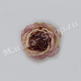 голова пионовидной розы, чайная, диаметр 10 см.(0,009)