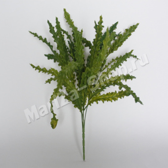 Букет листьев морской капусты, длинна 45 см, 5 веток, цвет зелёный ( 0,065)