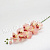 Ветка орхидеи (шелк),  розовый, высота - 78 см.