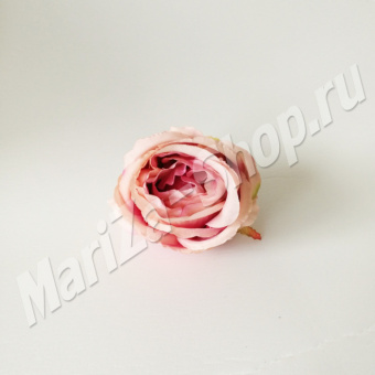 Голова пионовидно розы, цвет фуксия - персик, диаметр 10 см