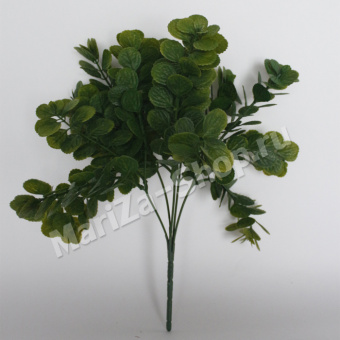 Букет эвкалипта, длинна 35 см, 5 веток, цвет зелёный (0,062)
