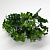Букет травы луговой (пластик), высота - 30 см, 5 веток., цвет зеленый