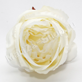 Голова розы пионовидной, диаметр - 11 см.