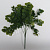 Букет эвкалипта , длинна 35 см, 5 веток, цвет зелёный (0,062)