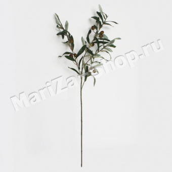 Оливковая ветвь, длина - 80 см, 4 ветки (0.043)