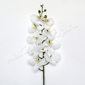 Ветка орхидеи (шелк), 8 цветков, 5 бутонов, высота - 78 см.