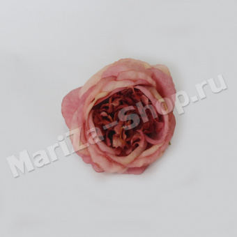 голова пионовидной розы, лососевая, диаметр 10 см (0,009)