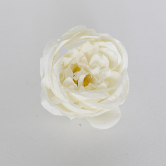 Голова пионовидной розы,диаметр 9 см, цвет белый ( 0,008)