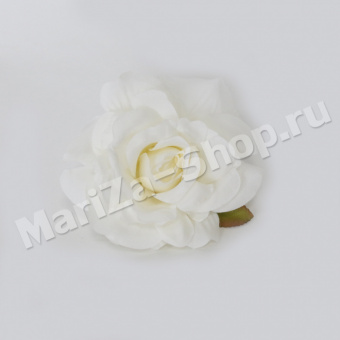 Голова розы раскрытая, белая, диаметр - 11 см (0,007)